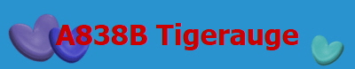 A838B Tigerauge