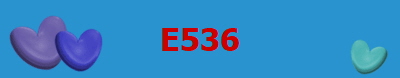 E536