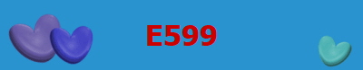 E599